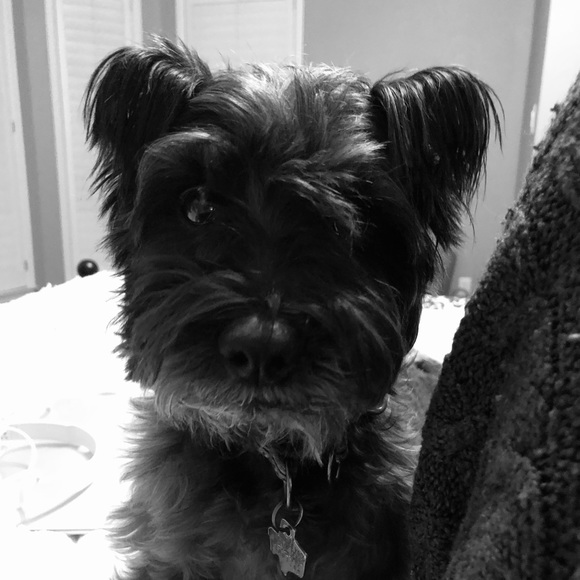 Meet your Posher, Elizabeth - Picture 1 of 1